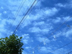 お祭り。