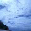海