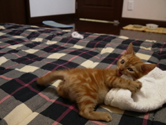 おらぁ！