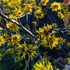 20120220-IMGP4052
