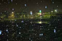 昨夜の雪