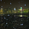 昨夜の雪