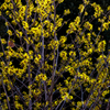 20120220-IMGP4058