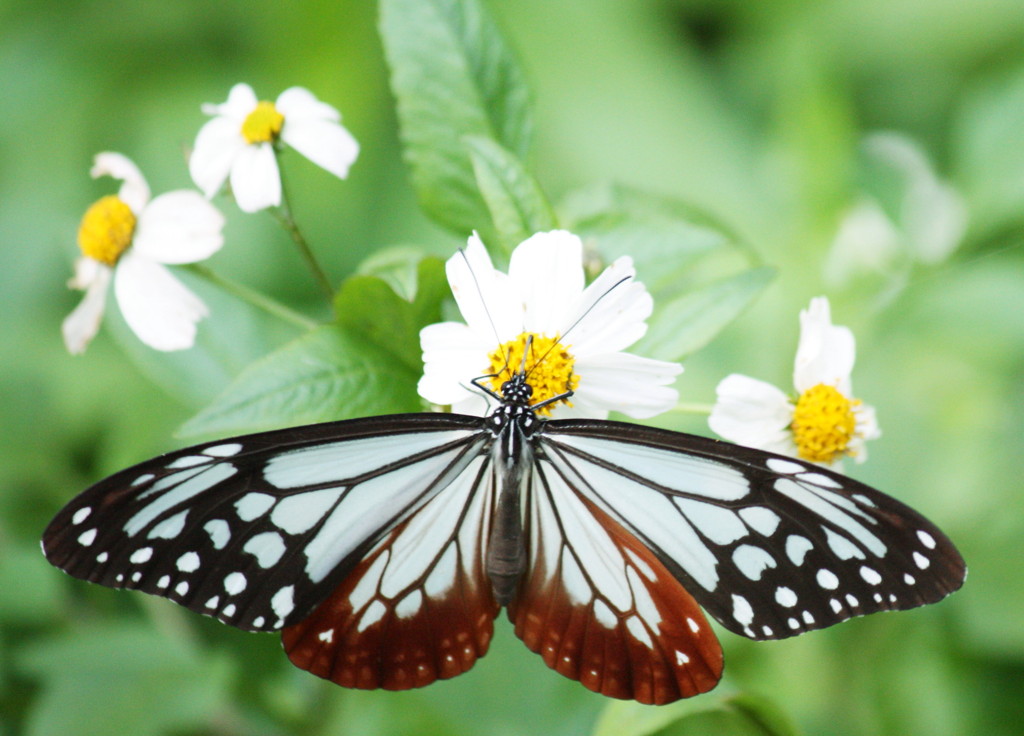 ジュディ〇〇〇・・・魅せられて？