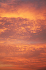 夕焼