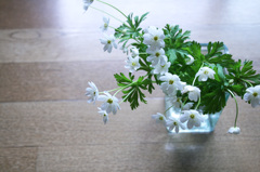 野草