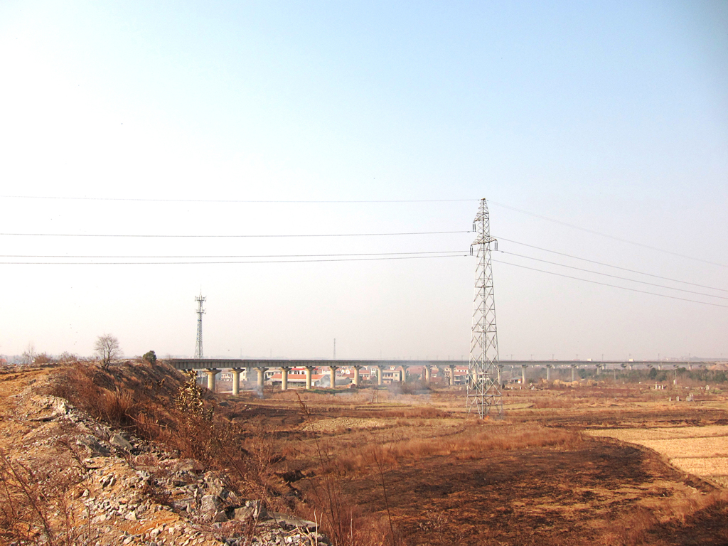 《郊外2011- 醉 影 月 华》 (8)