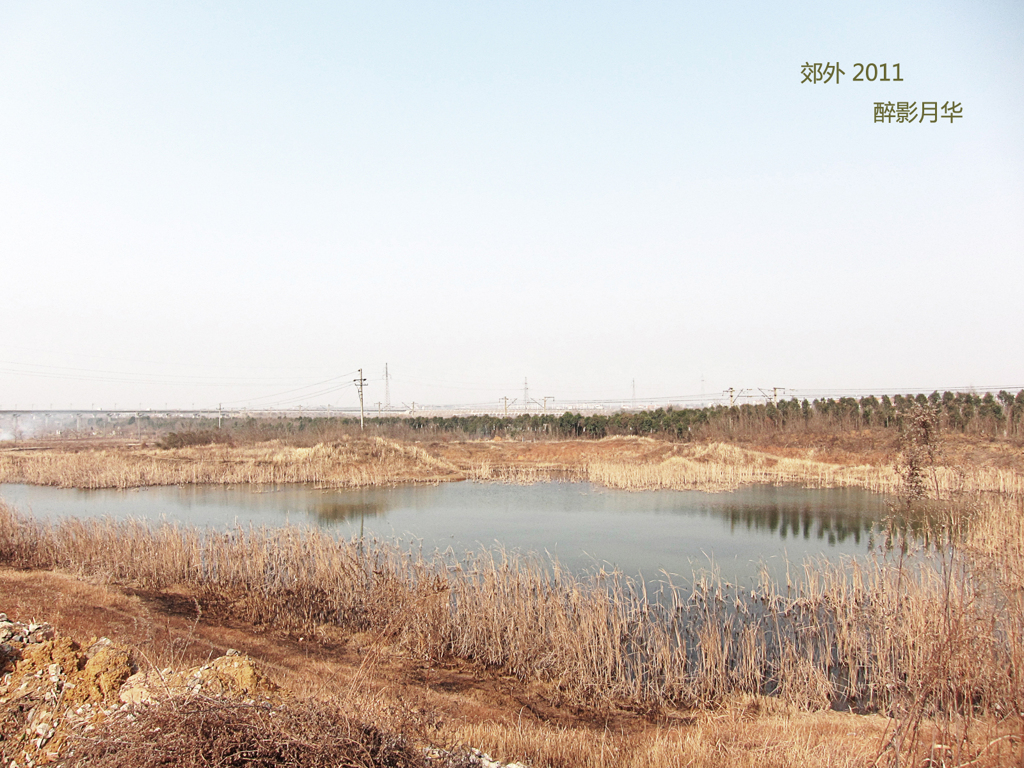 《郊外2011- 醉 影 月 华》 (1)