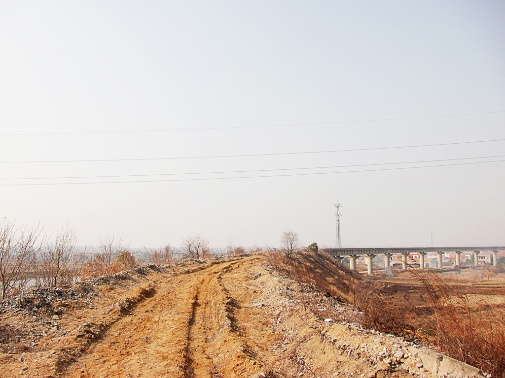 《郊外2011- 醉 影 月 华》 (9)