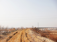 《郊外2011- 醉 影 月 华》 (9)