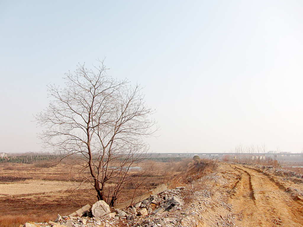 《郊外2011- 醉 影 月 华》 (10)