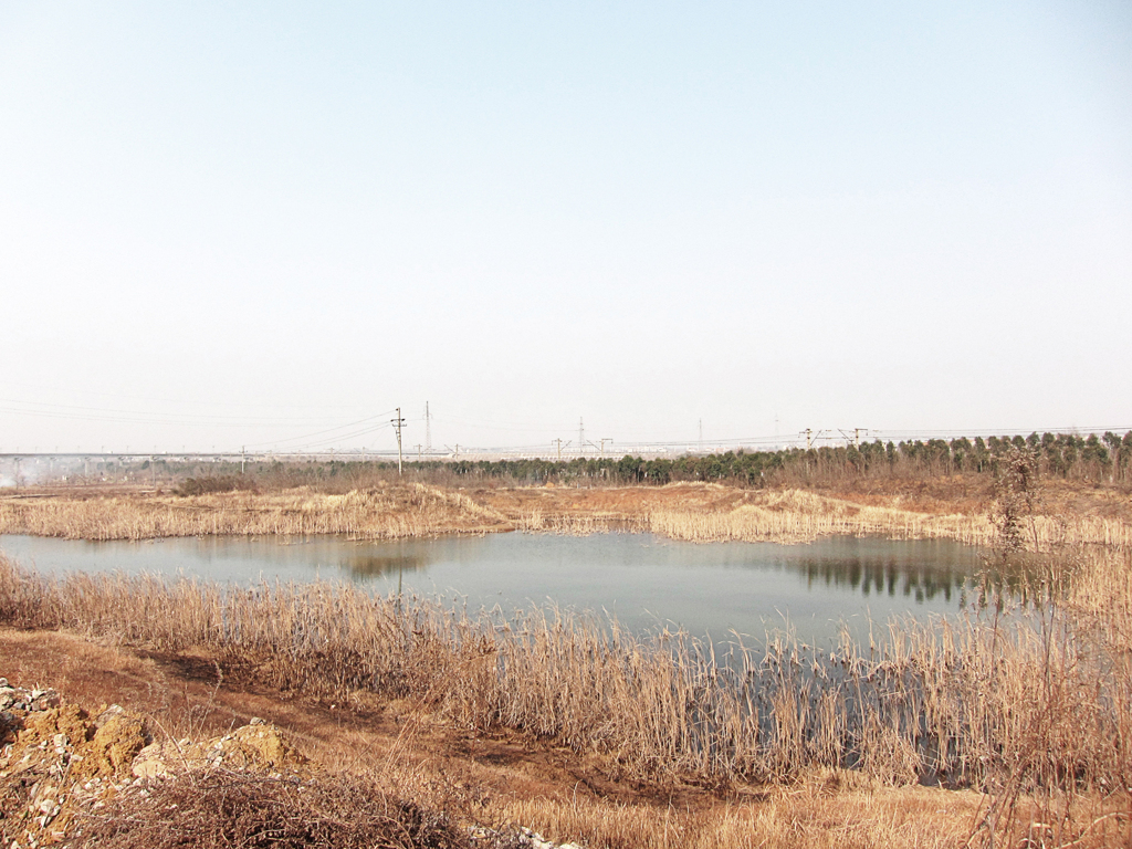 《郊外2011- 醉 影 月 华》 (2)