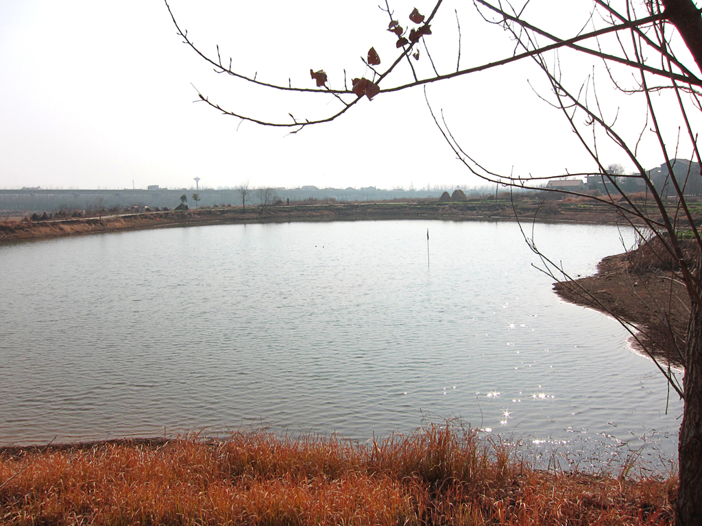 《郊外2011- 醉 影 月 华》 (6)