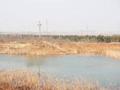 《郊外2011- 醉 影 月 华》 (3)