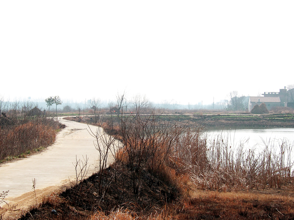 《郊外2011- 醉 影 月 华》 (4)