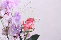 バラハロウィン