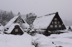 白川郷