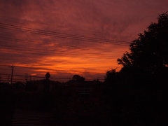 pictures 777