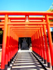 Gate