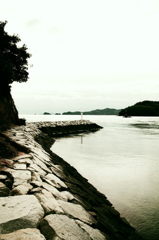hatoba