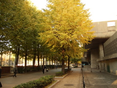 東京