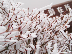 一つ登れば…