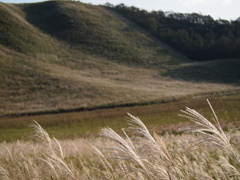 曽爾高原