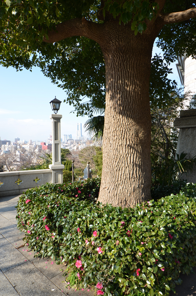 Cemetery