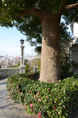 Cemetery
