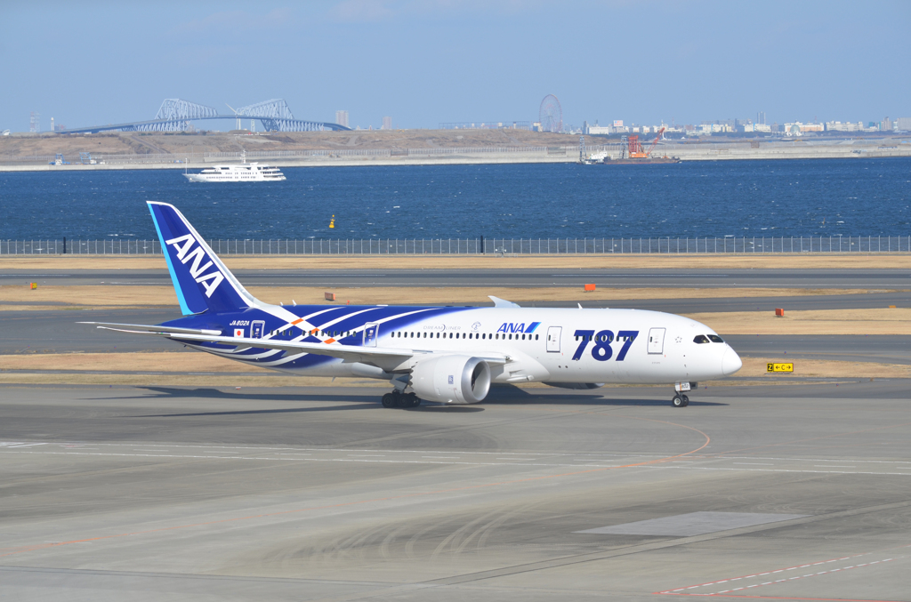 Boeing787Dreamliner