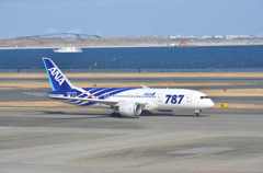 Boeing787Dreamliner