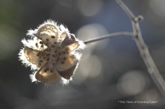 20120206