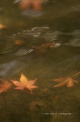 20111213
