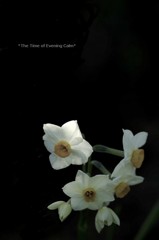 20120216