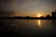 20111209