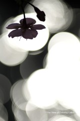 20120222