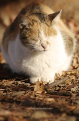 20120109