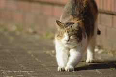 20120219