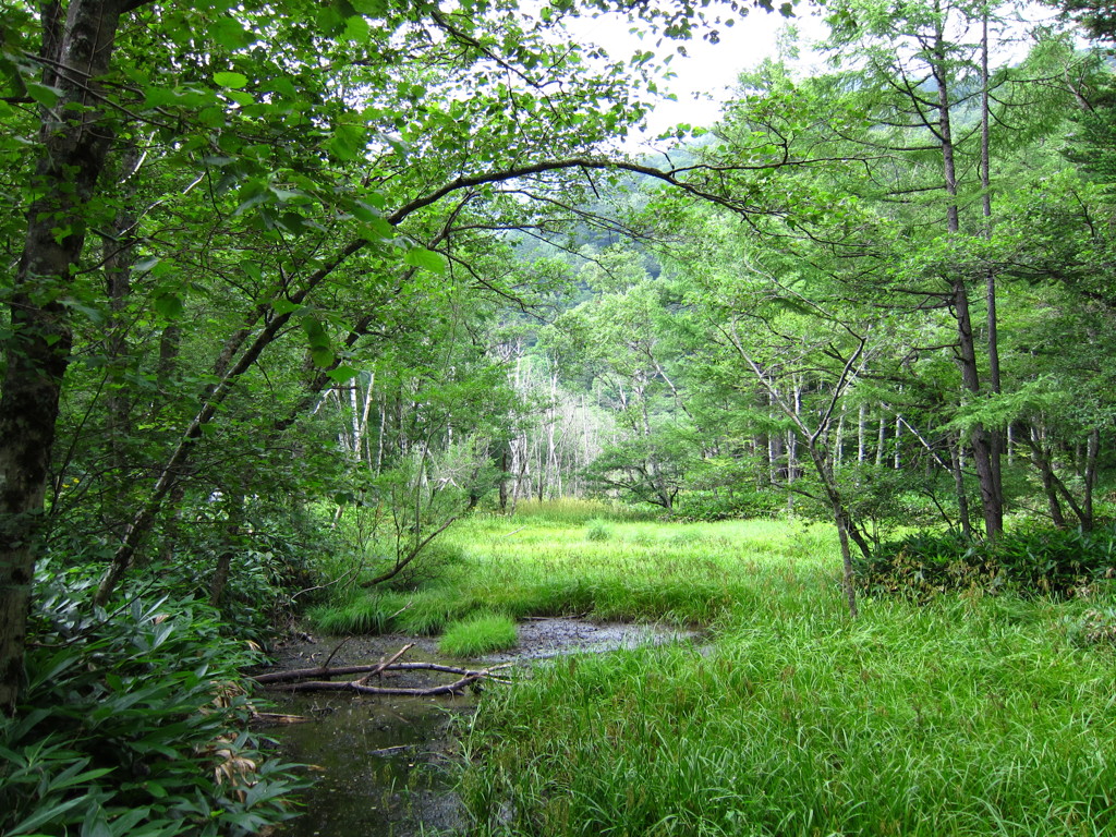 上高地 【2011/08】