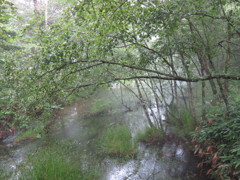上高地 【2011/08】