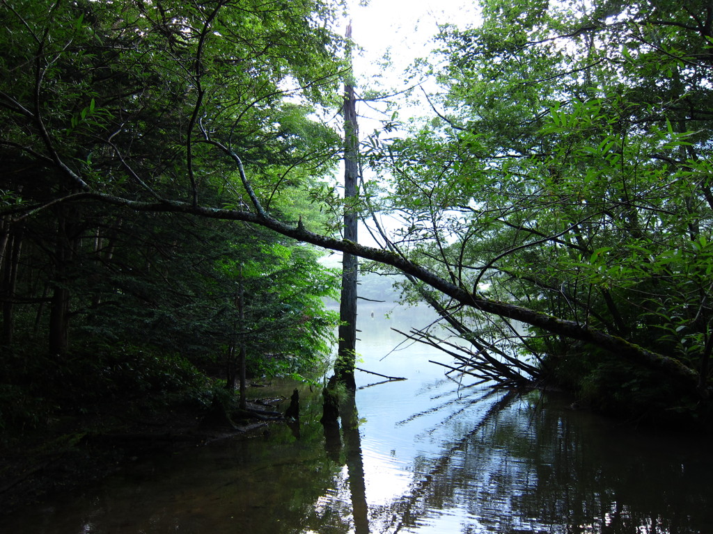 上高地 【2011/08】