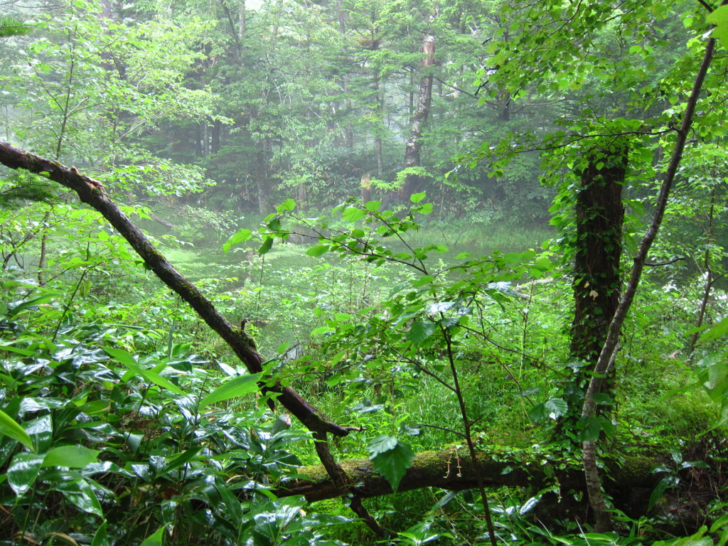 上高地 【2011/08】