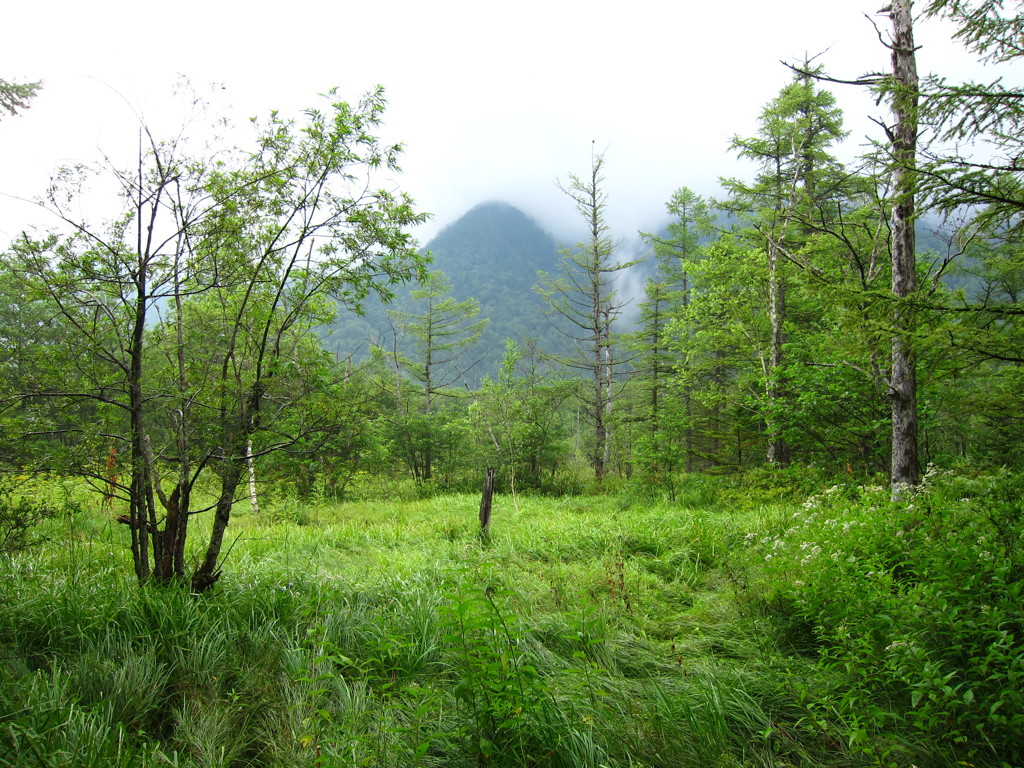 上高地 【2011/08】