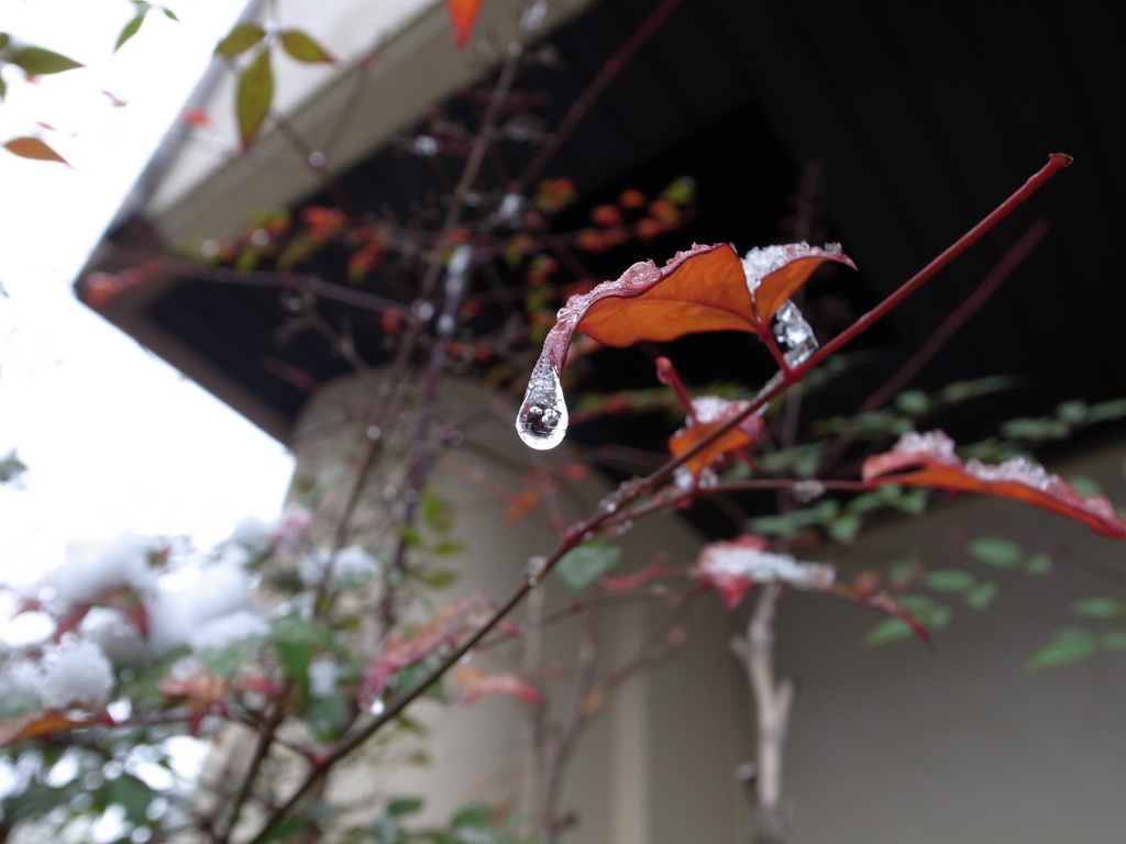 福岡でも寒い冬が・・・