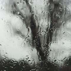 雨…　