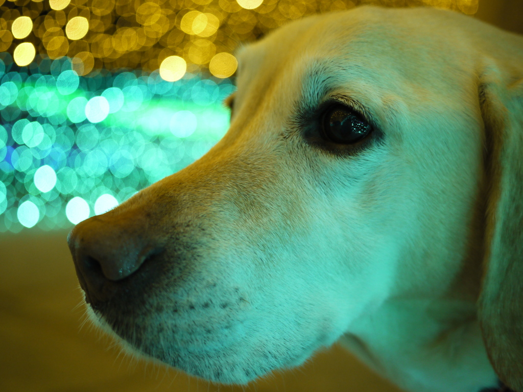 フルーツフラワーパーク