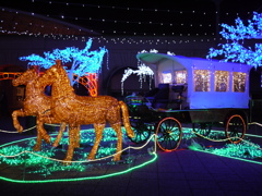 フルーツフラワーパーク