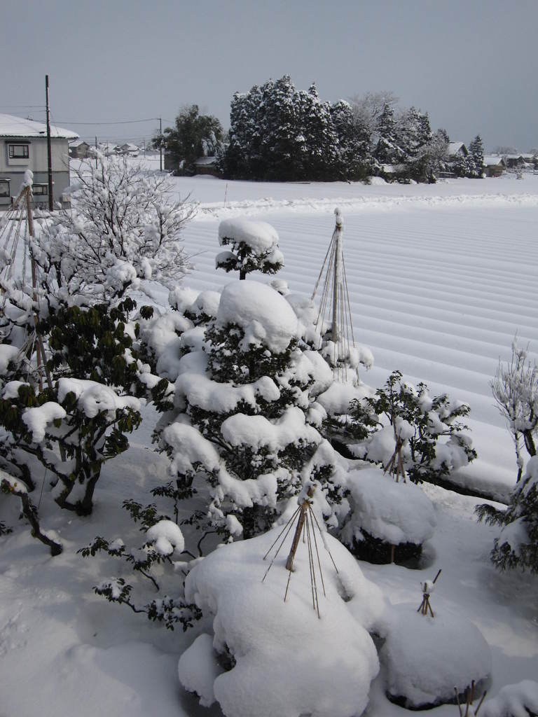 雪景色