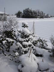 雪景色