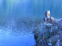 水際